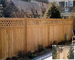 Tongue & Groove Fence